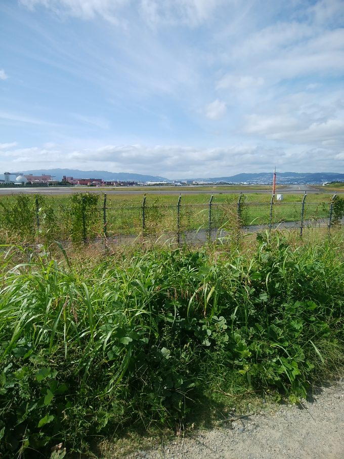 伊丹空港千里川堤防から見る滑走路